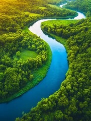 A river running through a lush green forest