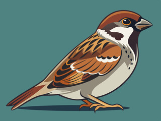 Illustration vectorielle premium Sparrow 
