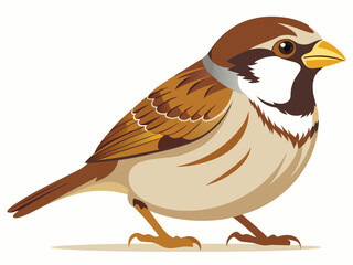 Illustration vectorielle premium Sparrow 
