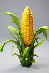 Obraz premium Ripe corn on the cob with juicy kernels, fresh and ready to eat, still in the husk