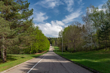 road in the park