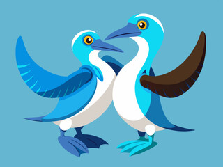 Danse d’accouplement de fous à pieds bleus