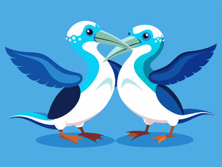 Danse d’accouplement de fous à pieds bleus