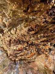 A close-up of a mineral-rich cave wall, showcasing layers of earthy textures and crystalline formations. A detailed glimpse into the natural beauty and complexity hidden within the earth's surface.