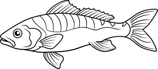 Detailed Fish Outline Drawing for Coloring and Education
