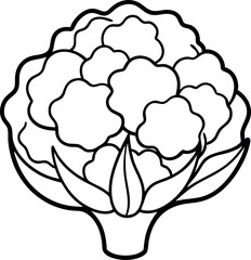 Black And White Cauliflower Illustration For Coloring