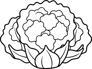 Black And White Cauliflower Illustration For Coloring