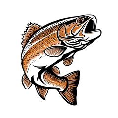 Fish vector image design 