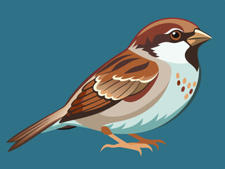 Illustration vectorielle premium Sparrow
