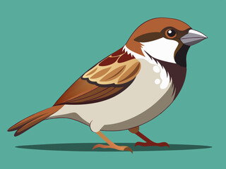 Illustration vectorielle premium Sparrow
