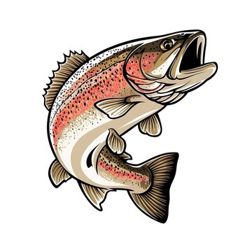 Fish vector image design 