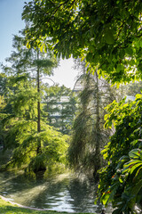 Palacio de Cristal - Madrid