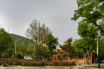 house in the park