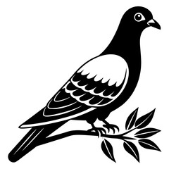 Vector art of a pigeon illustration on a white background