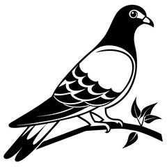 Vector art of a pigeon illustration on a white background