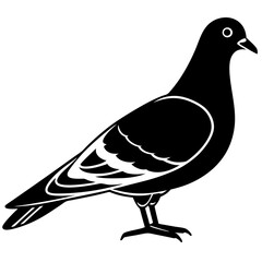 pigeon-perched-vector illustration 