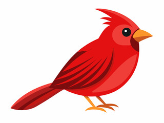 Illustration à plat d’oiseau rouge sur le blanc 