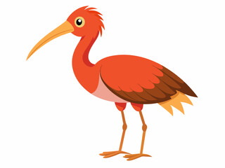 Icône ibis de la forêt vectorielle. Illustration d’espèces menacées. Mignon animal éteint isolé sur fond blanc. Drôle d’illustration d’oiseau sauvage pour les enfants. Concept de protection de la natu