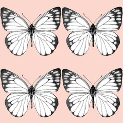 Obraz premium Seamless pattern of realistic butterfly. Hand drawn illustration. Black and white simple. Painted butterflies elements on pink background. Animal motif. For fabric, textile, design, banner, wrapping 