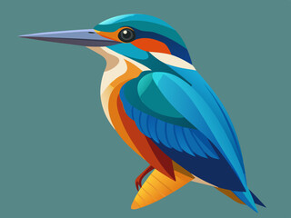 Kingfisher Flat Design Vector illustration 