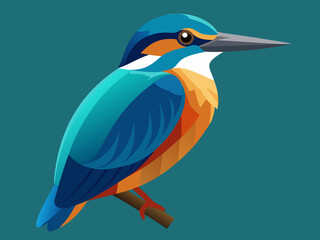 Kingfisher Flat Design Vector illustration 
