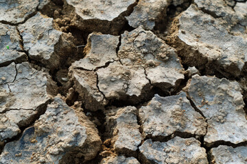 Fototapeta premium An image showcasing landscapes altered by prolonged droughts and desertification caused by climate change, emphasizing the need for sustainable land managemen