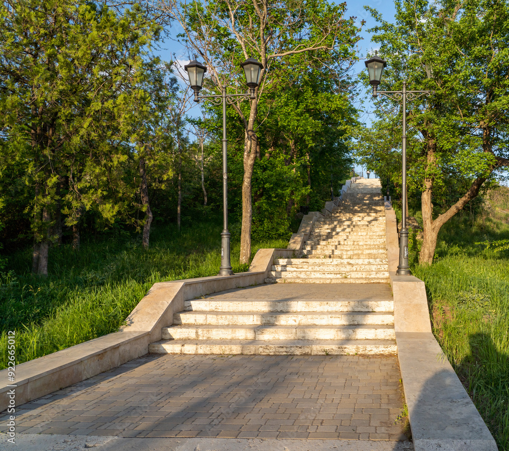 Wall mural path in the park