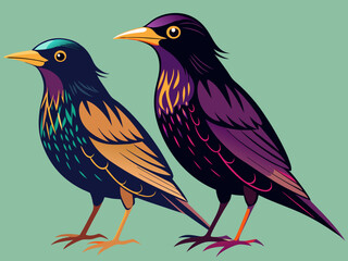 Paire de starlings
