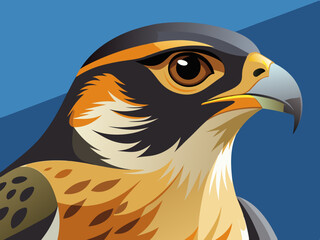 Faucon de Nouvelle-Zélande, Falco Novaeseelandiae 