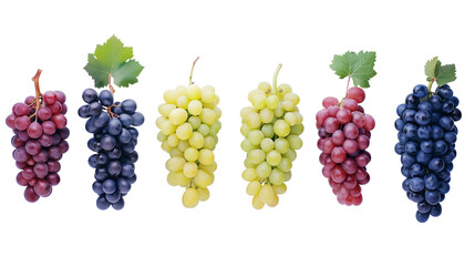 Several types of grapes, white, black and red on a transparent background. PNG image.