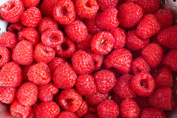 Close-up of numerous fresh raspberries washed and wet, filling a metal colander. The bright red raspberries display their characteristic fine hairs and hollow cores, showcasing their freshness.