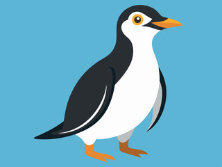 Manchot des Galapagos
