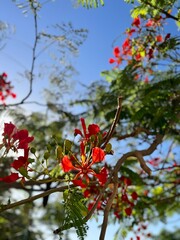 Naturaleza capturada en su esplendor