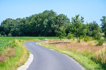 Bending asphalt road through the agriculture fields at the German countryside around Löningen, Lower Saxony, Germany