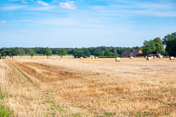 Fototapeta premium Harvested golden wheat field at the German countryside around Lower Saxony, Germany
