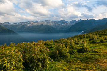 Panorama estival sur le massif de Perdiguère, dominant la vallée du Lys, depuis le plateau de...