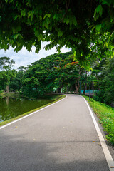a public place leisure travel landscape lake views at Ang Kaew Chiang Mai University and Doi Suthep nature forest Mountain views spring cloudy sky background with white cloud.