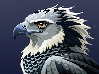 Noir et blanc couleur harpie aigle sauvage nature oiseau chasseur prédateur carnivore fort animal 
