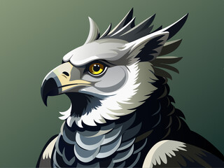 Noir et blanc couleur harpie aigle sauvage nature oiseau chasseur prédateur carnivore fort animal 
