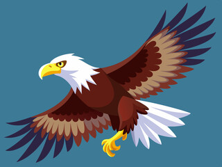 Vol d'aigle à tête blanche