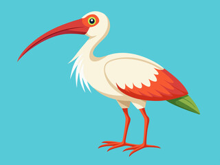 Dessin d’animaux d’oiseaux ibis Cartoon