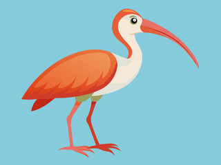 Dessin d&rsquo;animaux d&rsquo;oiseaux ibis Cartoon