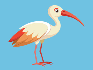 Dessin d’animaux d’oiseaux ibis Cartoon