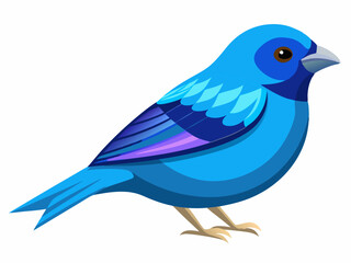 Passerin indigo