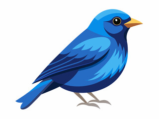 blue bird isolated on white background