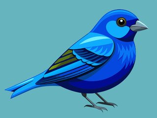 Passerin indigo