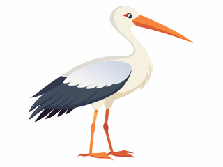 Oiseau de cigogne de Jabiru sur un fond blanc 
