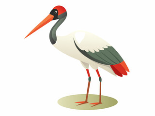 Oiseau de cigogne de Jabiru sur un fond blanc 
