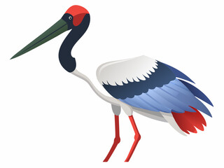 Oiseau de cigogne de Jabiru sur un fond blanc 
