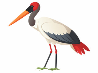 Oiseau de cigogne de Jabiru sur un fond blanc 
